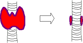 schdruese tab3